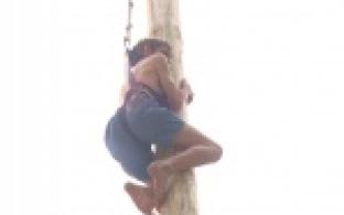 Праздник плуга собрал в парке культуры несколько тысяч горожан