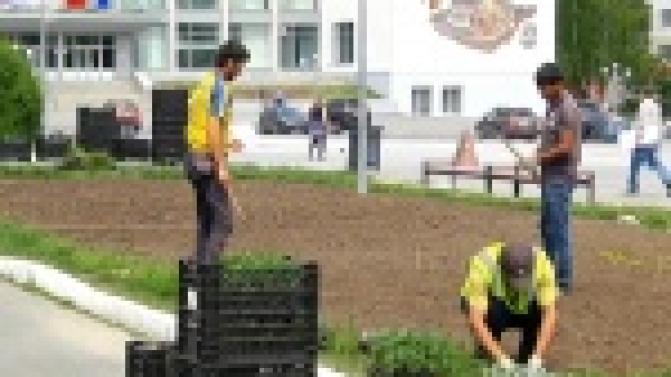 Центр Первоуральска украсят бабочки