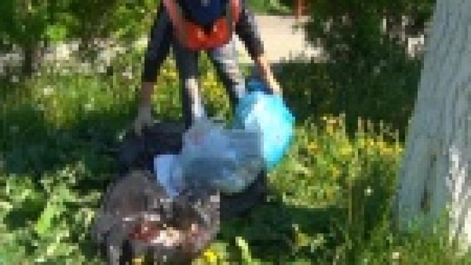 Коммунальщики продолжают заниматься вывозом мусора