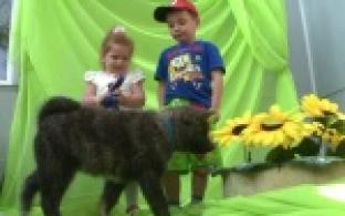 Фотографировались с экзотическими собаками и готовили оригинальные десерты