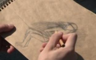 Юные художники приступили к занятиям на свежем воздухе