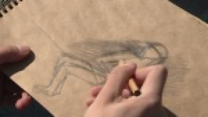 Юные художники приступили к занятиям на свежем воздухе