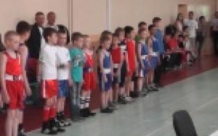 Состоялся турнир по боксу, посвященный памяти заслуженного тренера СССР Сергея Романова