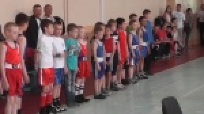 Состоялся турнир по боксу, посвященный памяти заслуженного тренера СССР Сергея Романова