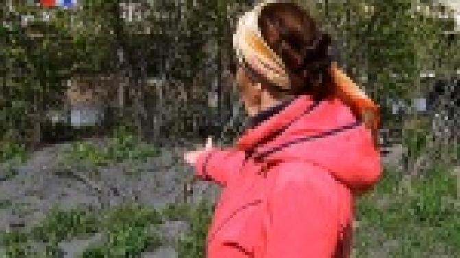 Сады здесь больше не цветут