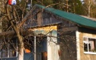 Помогла не словом, а делом