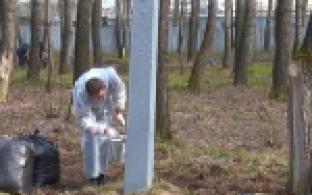 Сотрудники Заводоуправления ПНТЗ вышли на приборку Корабельной рощи