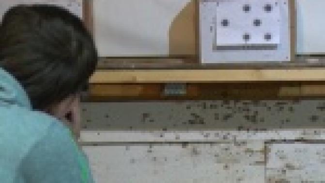 Соревновались в меткости