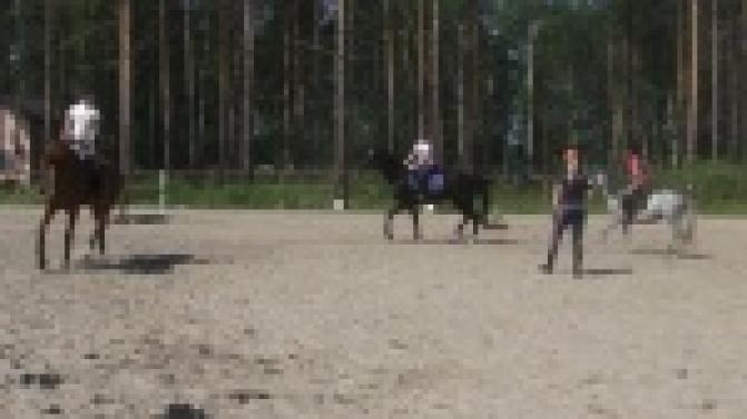 Соревнования по конному спорту впервые состоятся в Первоуральске