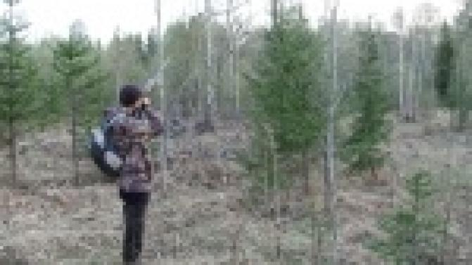 В Свердловской области стартует сезон весенней охоты