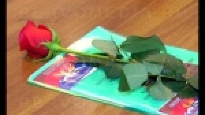 Поисковики помогли обнаружить могилы погибших во время войны первоуральцев