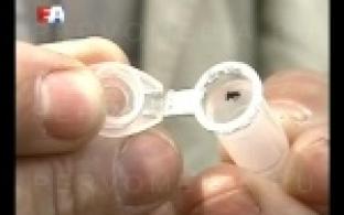 В Первоуральске открыт сезон активности клещей