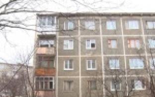 Первоуралец стал свидетелем издевательства над собакой