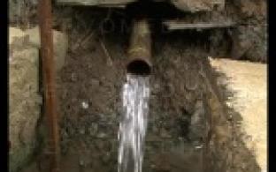 Единственный питьевой родник в Первомайке оказался под угрозой исчезновения