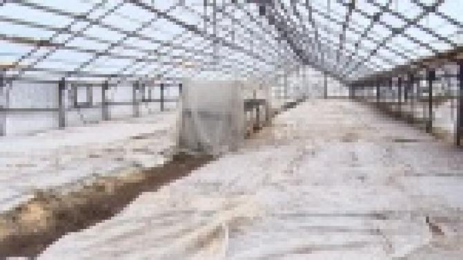 В совхозах активно готовятся к посевной