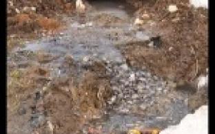 Жителям Прогресса специалисты готовы предложить прогрессивное решение проблемы.