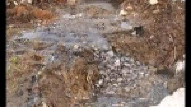 Жителям Прогресса специалисты готовы предложить прогрессивное решение проблемы.