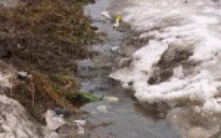 На одной из улиц Прогресса как из ключа забили канализационные стоки