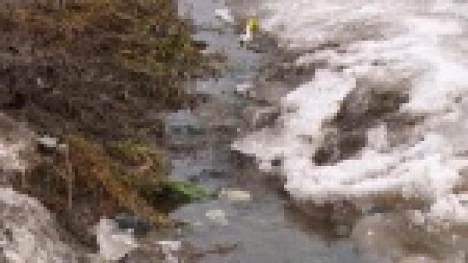 На одной из улиц Прогресса как из ключа забили канализационные стоки