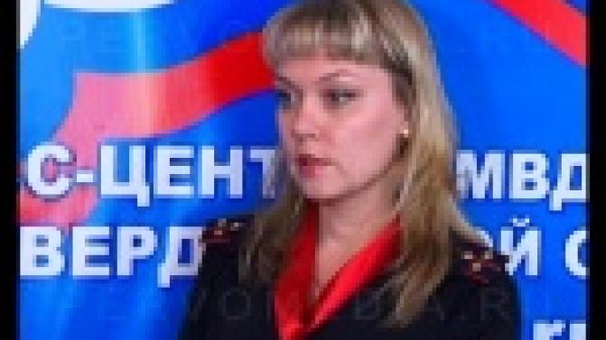 Жительница Первоуральска, сама того не зная, купила больше ста кубометров леса