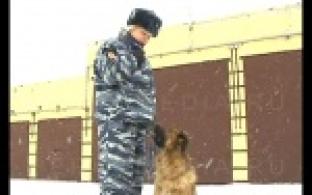 Главное - не упустить время.