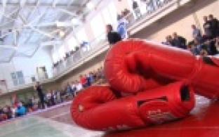 На стадионе "Уральский Трубник" прошел областной чемпионат по панкратиону