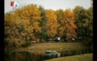 Первоуральцы смогут стать авторами почтовых открыток.