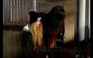 История с покупкой полицейского коня получила продолжение.