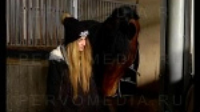 История с покупкой полицейского коня получила продолжение.