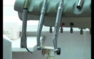 Представители этой профессии заглядывают в рот, чтобы помочь.