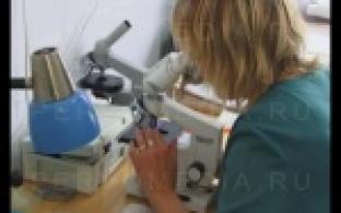 Первая жертва опасной инфекции.