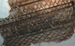 Так называемые общежития недавно получили статусы многоквартирных домов