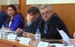 Судьбу бездомных собак решали депутаты