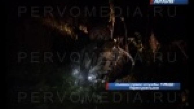 В Первоуральске судят водителя "Audi TT