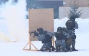 Любое задание в любое время