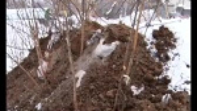 Активисты одного из первоуральских дворов борются с коммунальной напастью.