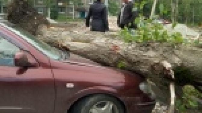 Трясло, штормило, заливало...