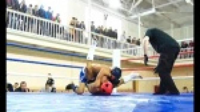 Различные виды спорта - на одном ринге.