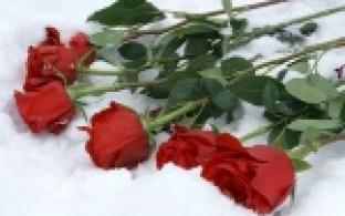 В память о погибших