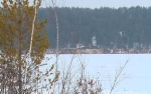 Откачивать или пить?