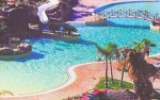 Хотят ли первоуральцы лететь за границу?