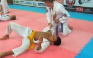 Восемь медалей привезли спортсмены с соревнований по джиу-джитсу