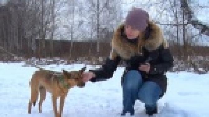 Акция "Ищу тебя, хозяин!"