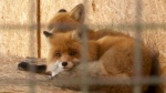 К холодам готовы