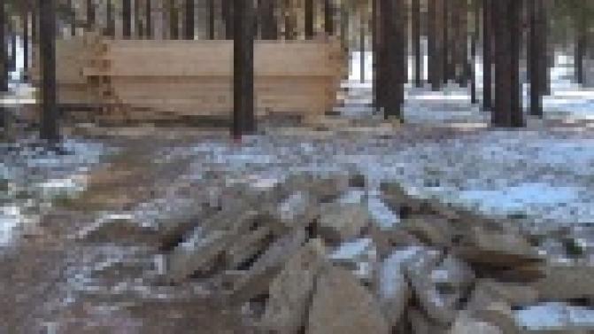 Прокатиться на собаках, выковать гвоздь и пообщаться с дедом Морозом