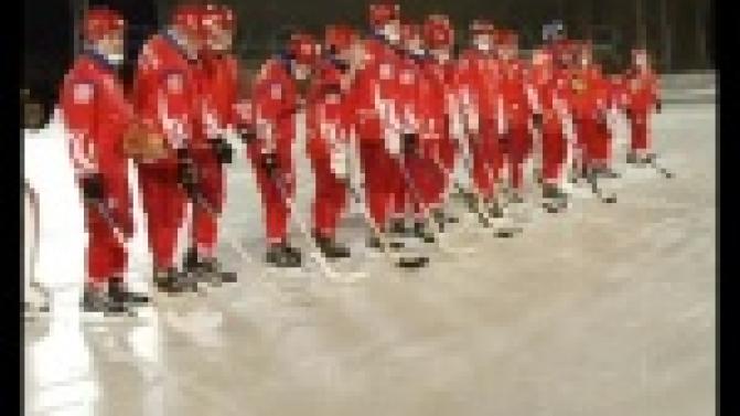 Сделать хоккей с мячом ещё популярнее и, конечно, выигрывать.