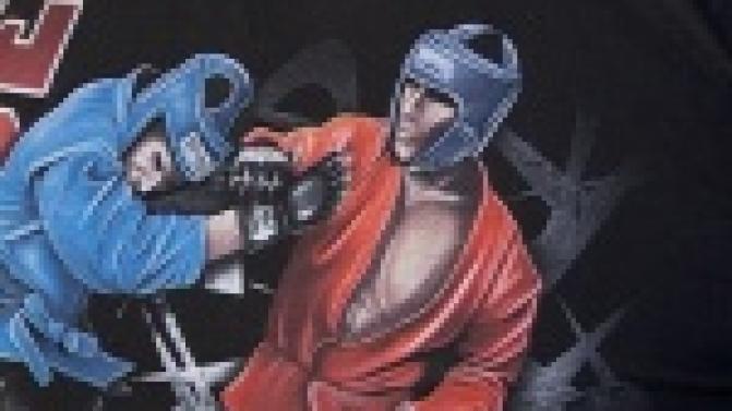 Смешанные единоборства станут доступны для горожан