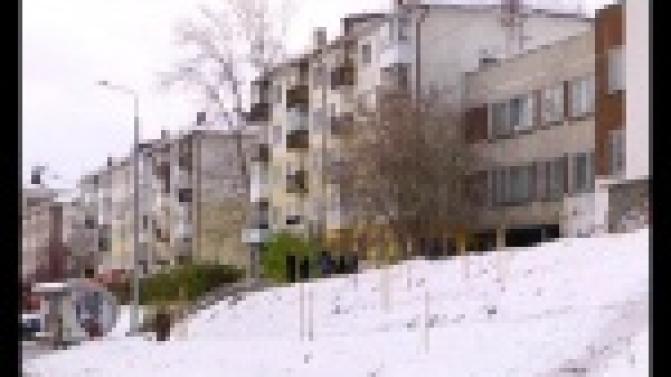 Специалисты лесного хозяйства Первоуральска контролируют, как растут саженцы