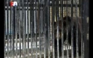 Первоуральский зоопарк продолжают обустраивать