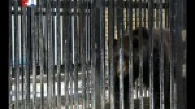 Первоуральский зоопарк продолжают обустраивать